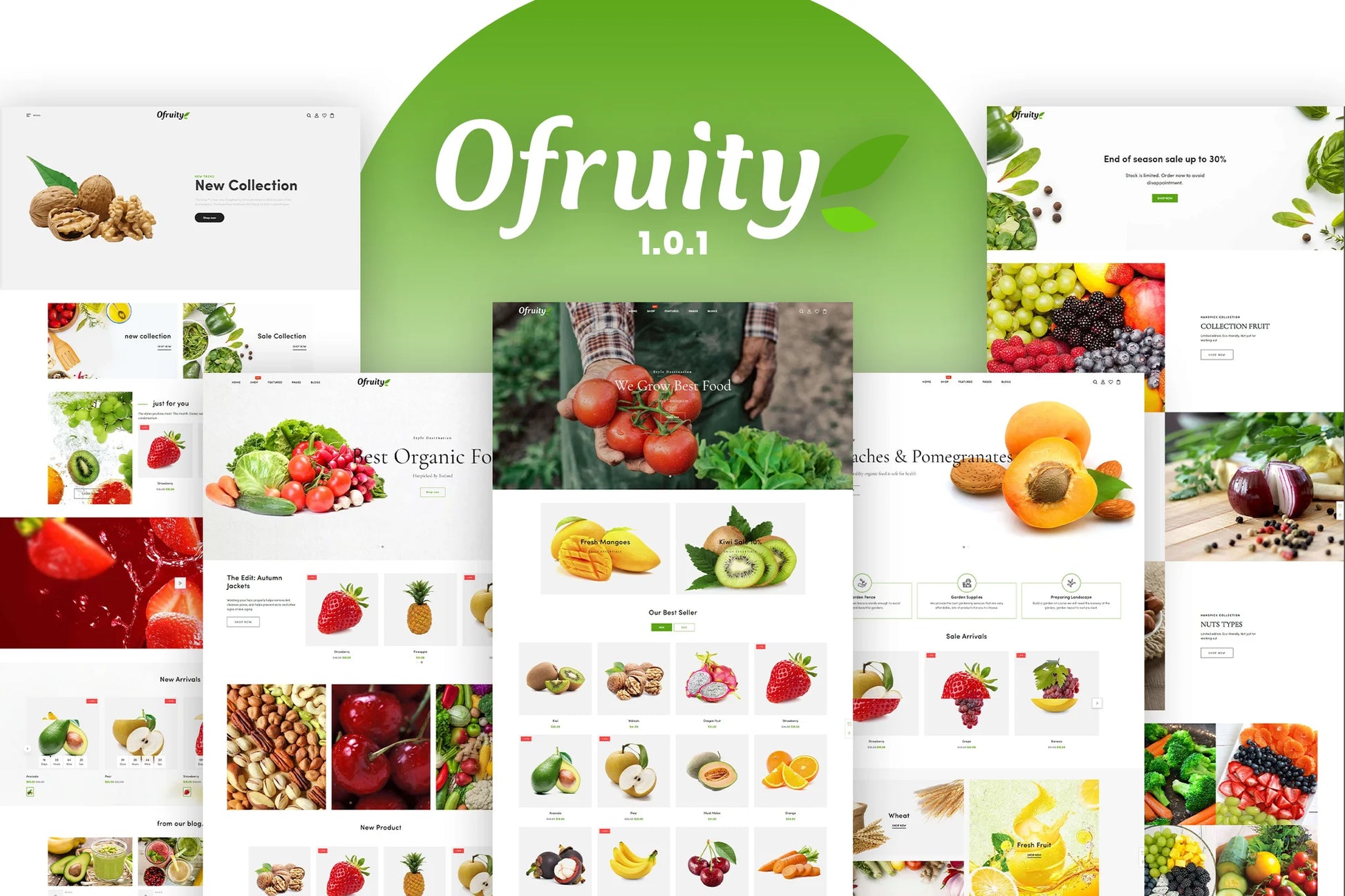 Ofruity - Alimentos orgánicos/frutas/verduras
